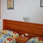 Cactus *