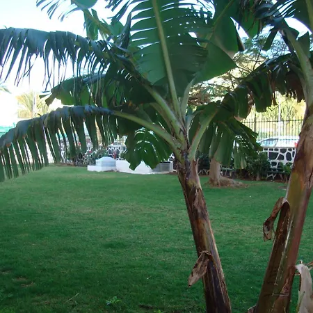 Appartement Cactus *