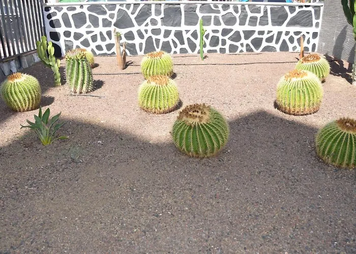 公寓 Cactus 普拉亚戴尔雷安格莱斯