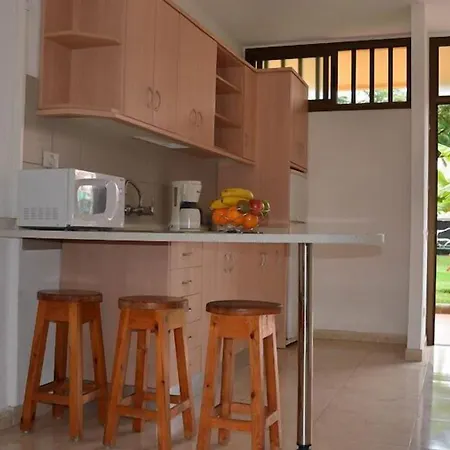 Cactus Playa del Inglés