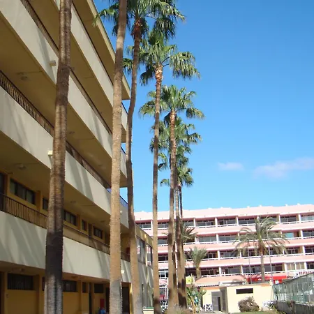 Cactus Playa del Inglés