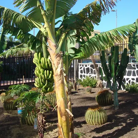 Apartamento Cactus