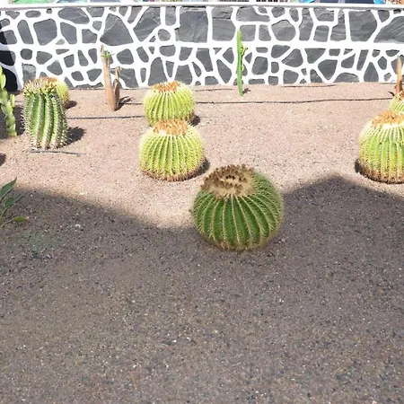 Апартаменты Cactus Плайя-дель-Инглес