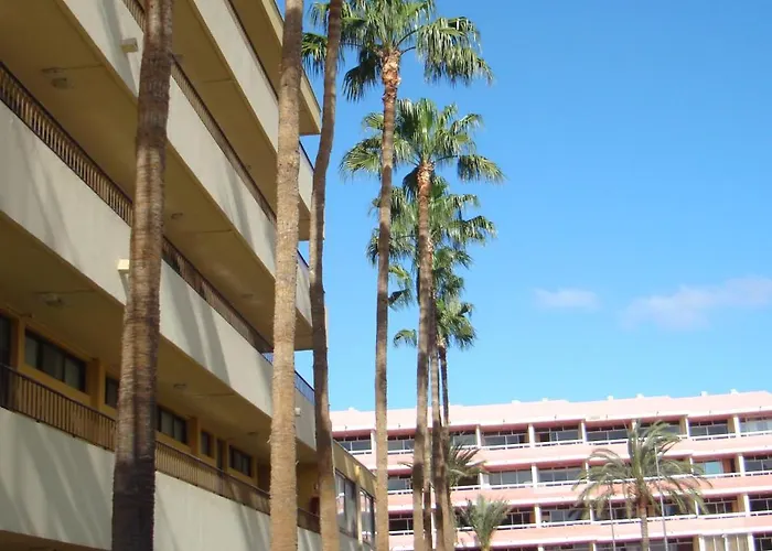 Cactus Playa del Inglés