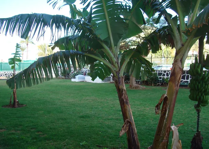 Apartamento Cactus *