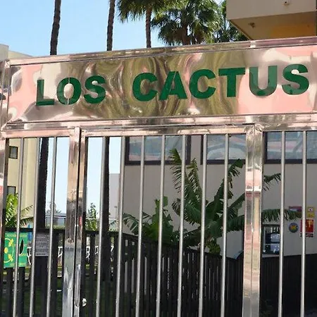 Cactus * Playa del Ingles (Gran Canaria)